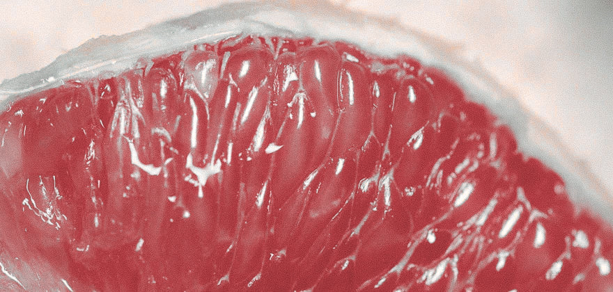 Quels aliments éviter quand on manque de fer ?